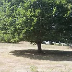 Se Reconnecter A La Nature Au 3 Etoiles De Montager A Andre De Chalencon Holiday home Saint-Andre-de-Chalencon