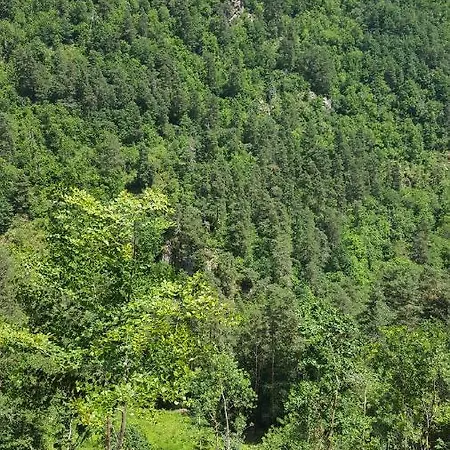 Holiday home Se Reconnecter A La Nature Au 3 Etoiles De Montager A Andre De Chalencon