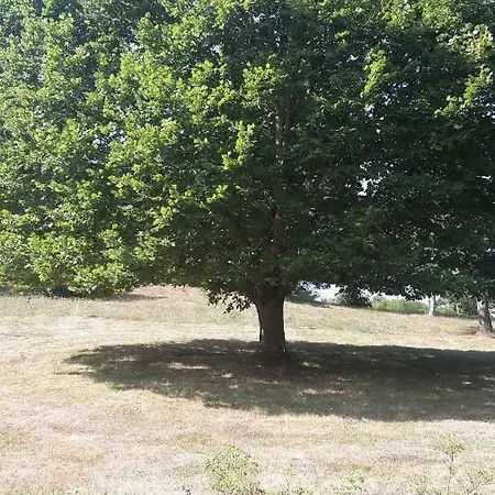 Se Reconnecter A La Nature Au 3 Etoiles De Montager A Andre De Chalencon 別荘 Saint-André-de-Chalençon