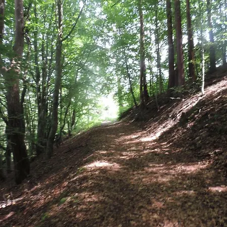 Se Reconnecter A La Nature Au 3 Etoiles De Montager A Andre De Chalencon *