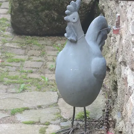 Se Reconnecter A La Nature Au 3 Etoiles De Montager A Andre De Chalencon