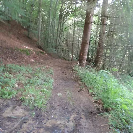 Prázdninový dům Se Reconnecter A La Nature Au 3 Etoiles De Montager A Andre De Chalencon
