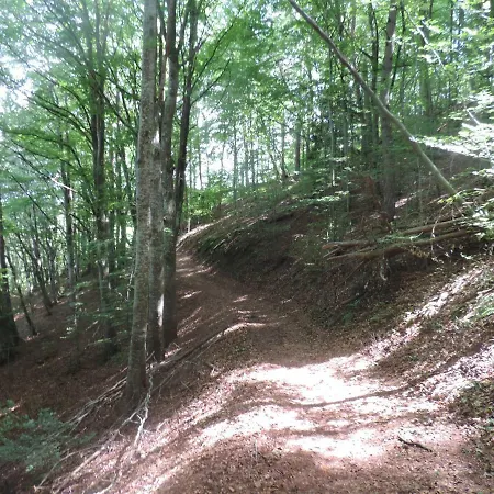 Se Reconnecter A La Nature Au 3 Etoiles De Montager A Andre De Chalencon Saint-Andre-de-Chalencon