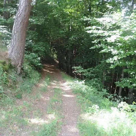Se Reconnecter à La Nature Au 3 étoiles De Montager à André De Chalencon * Saint-Andre-de-Chalencon