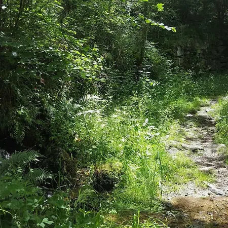Holiday home Se Reconnecter A La Nature Au 3 Etoiles De Montager A Andre De Chalencon Saint-Andre-de-Chalencon