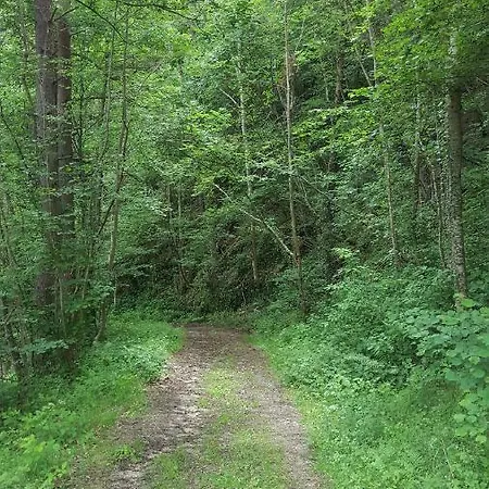 Se Reconnecter A La Nature Au 3 Etoiles De Montager A Andre De Chalencon Prázdninový dům