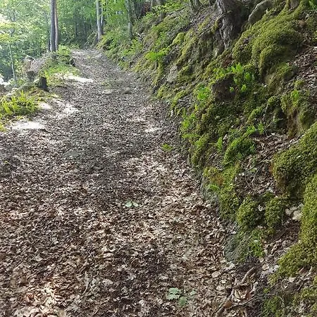 Se Reconnecter A La Nature Au 3 Etoiles De Montager A Andre De Chalencon * Saint-Andre-de-Chalencon