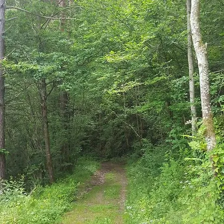 Se Reconnecter A La Nature Au 3 Etoiles De Montager A Andre De Chalencon *