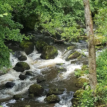 Se Reconnecter A La Nature Au 3 Etoiles De Montager A Andre De Chalencon