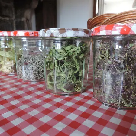 Se Reconnecter A La Nature Au 3 Etoiles De Montager A Andre De Chalencon Σπίτι διακοπών *