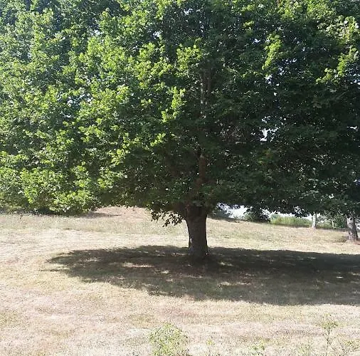 Se Reconnecter à La Nature Au 3 étoiles De Montager à André De Chalencon Hébergement de vacances Saint-Andre-de-Chalencon