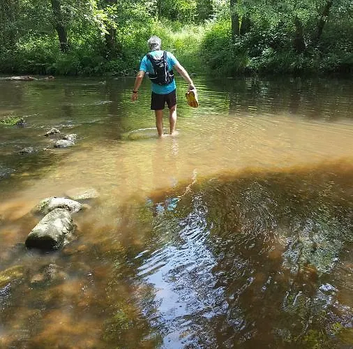 Se Reconnecter à La Nature Au 3 étoiles De Montager à André De Chalencon
