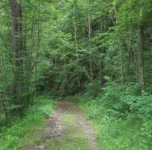 Se Reconnecter à La Nature Au 3 étoiles De Montager à André De Chalencon Hébergement de vacances