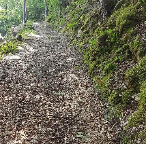 Se Reconnecter à La Nature Au 3 étoiles De Montager à André De Chalencon * Saint-Andre-de-Chalencon
