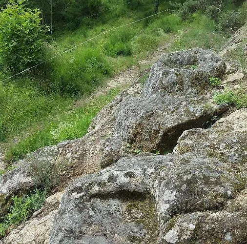 Se Reconnecter à La Nature Au 3 étoiles De Montager à André De Chalencon Hébergement de vacances Saint-Andre-de-Chalencon