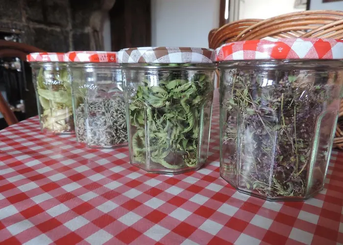 Se Reconnecter à La Nature Au 3 étoiles De Montager à André De Chalencon Hébergement de vacances *